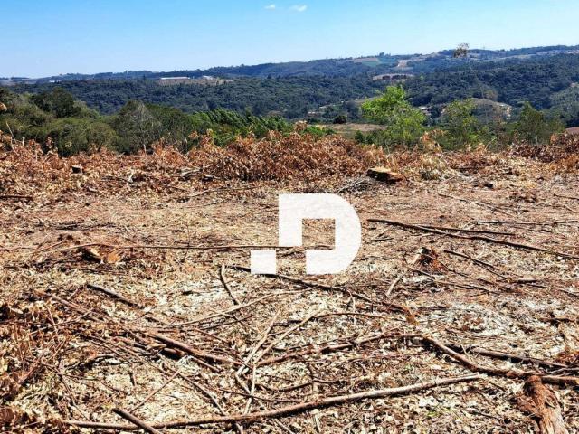 Terreno / Lote para Venda em Piedade/SP Godinhos