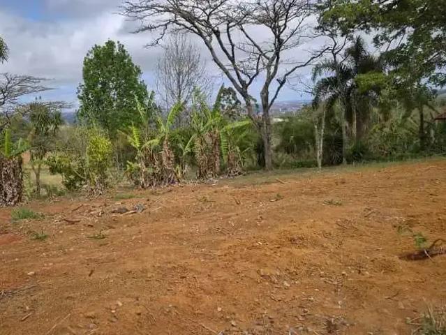 Terreno / Lote para Venda em Piedade/SP Ortizes