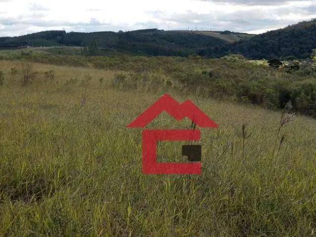 Terreno / Lote para Venda em Piedade/SP Zona Rural