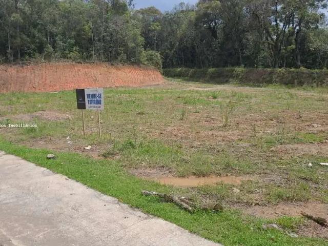 Terreno / Lote para Venda em Piên/PR Avencal