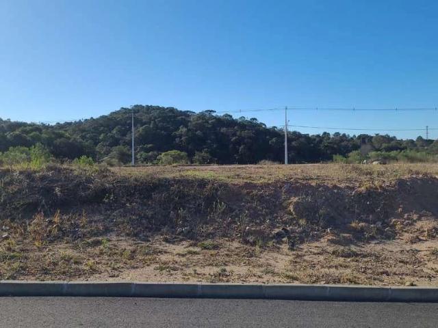 Terreno / Lote para Venda em Piên/PR Avencal