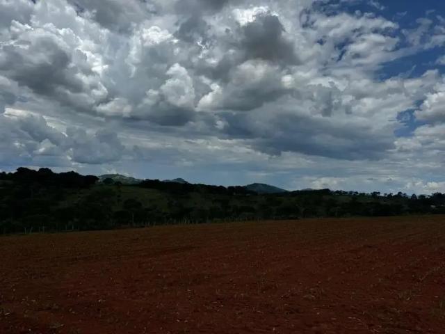 Terreno / Lote para Venda em Piracema/MG Centro 1 Quartos