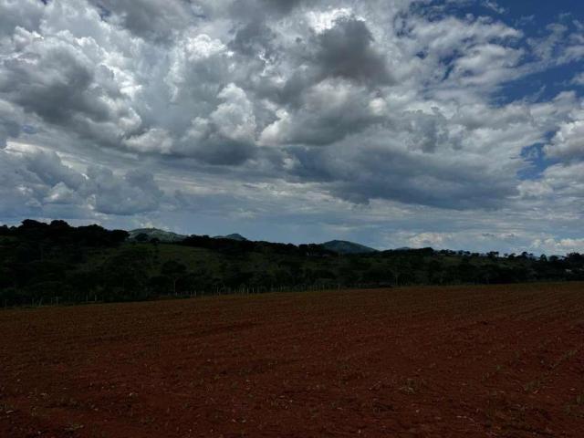 Terreno / Lote para Venda em Piracema/MG Centro 1 Quartos