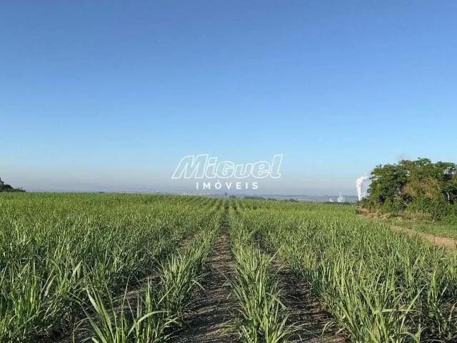 Terreno / Lote para Venda em Piracicaba/SP Campestre