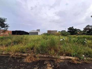Terreno / Lote para Venda em Piracicaba/SP Campestre