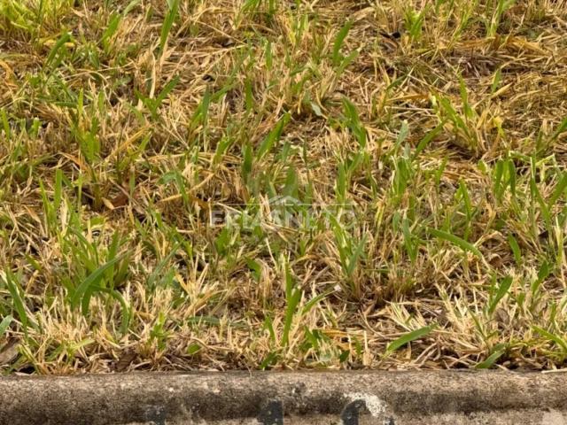 Terreno / Lote para Venda em Piracicaba/SP Campestre