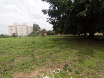Terreno / Lote para Venda em Piracicaba/SP Dois Córregos