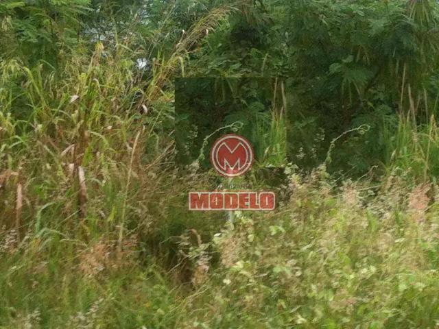 Terreno / Lote para Venda em Piracicaba/SP Jardim Belvedere