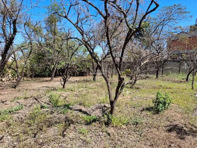 Terreno / Lote para Venda em Piracicaba/SP Jardim Elite