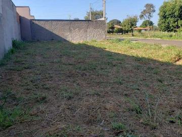 Terreno / Lote para Venda em Piracicaba/SP Jardim São Luiz
