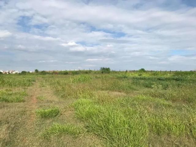 Terreno / Lote para Venda em Piracicaba/SP Santa Rosa