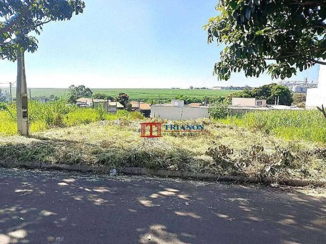 Terreno / Lote para Venda em Piracicaba/SP Santa Rita