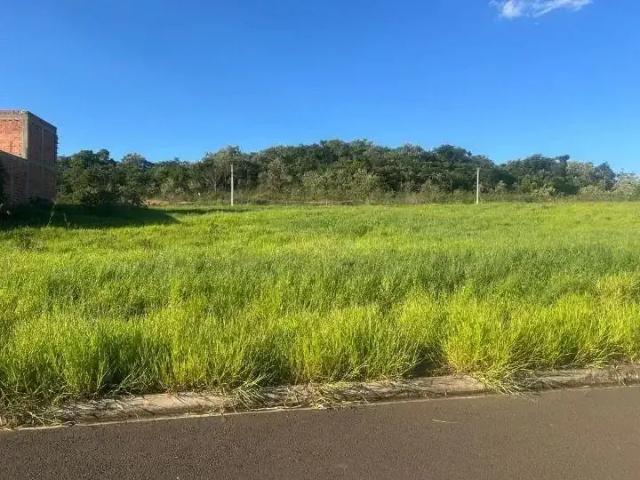 Terreno / Lote para Venda em Piracicaba/SP Residencial Alto da Boa Vista