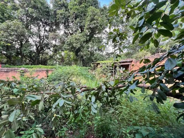 Terreno / Lote para Venda em Piracicaba/SP Vila Independência