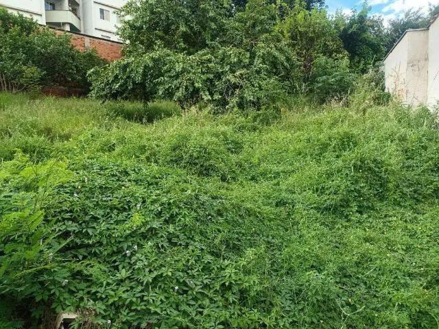 Terreno / Lote para Venda em Piracicaba/SP Vila Independência