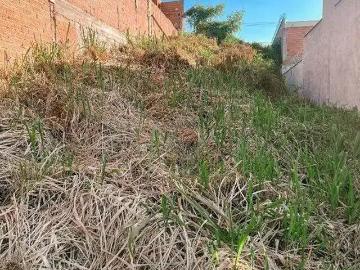 Terreno / Lote para Venda em Piracicaba/SP Vila Monteiro