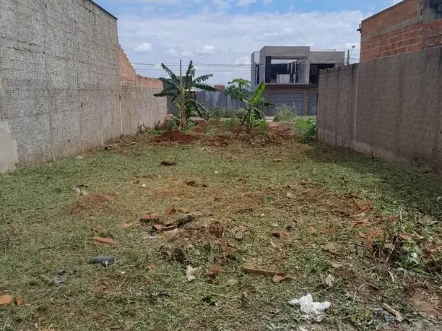 Terreno / Lote para Venda em Pirassununga/SP Jardim Treviso