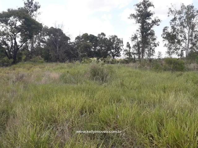 Terreno / Lote para Venda em Pirapozinho/SP Zona Rural