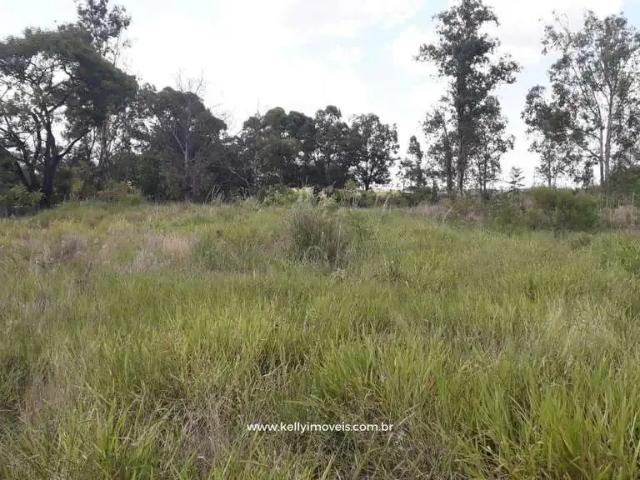 Terreno / Lote para Venda em Pirapozinho/SP Zona Rural