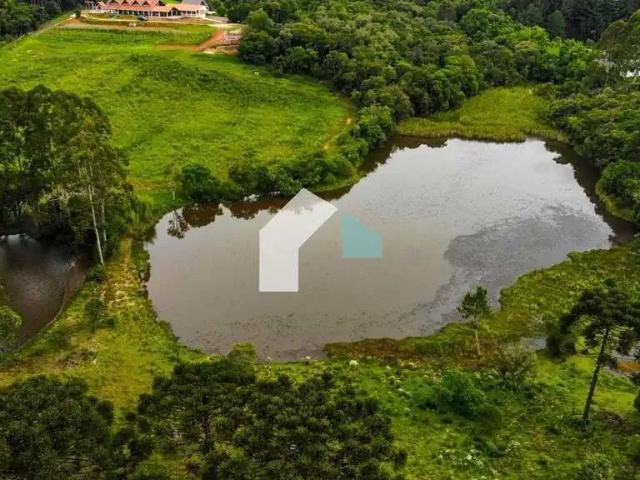 Terreno / Lote para Venda em Piraquara/PR Vila Fuck