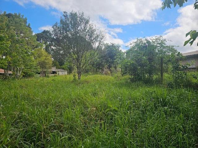 Terreno / Lote para Venda em Piraquara/PR Vila Fuck