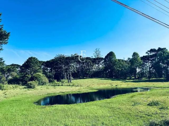 Terreno / Lote para Venda em Piraquara/PR Vila Fuck