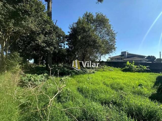 Terreno / Lote para Venda em Piraquara/PR Vila Ipanema