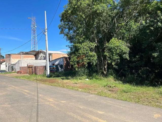Terreno / Lote para Venda em Piraquara/PR Vila Juliana