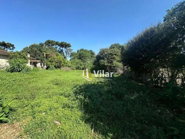 Terreno / Lote para Venda em Piraquara/PR Vila Juliana
