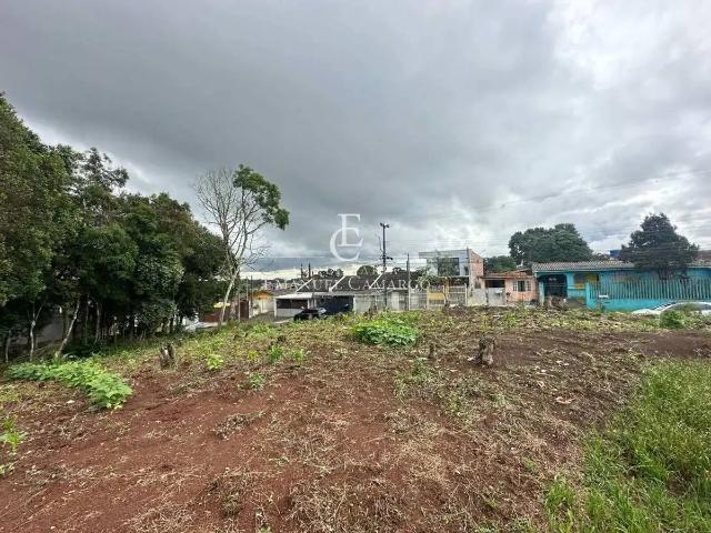 Terreno / Lote para Venda em Piraquara/PR Vila Santa Maria