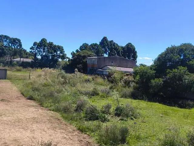 Terreno / Lote para Venda em Piraquara/PR Águas Claras