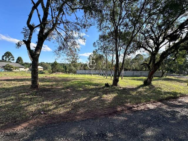 Terreno / Lote para Venda em Piraquara/PR Borda do Campo