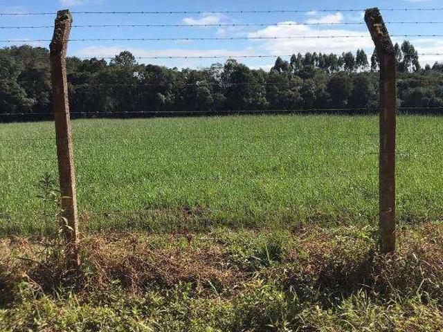 Terreno / Lote para Venda em Piraquara/PR Borda do Campo