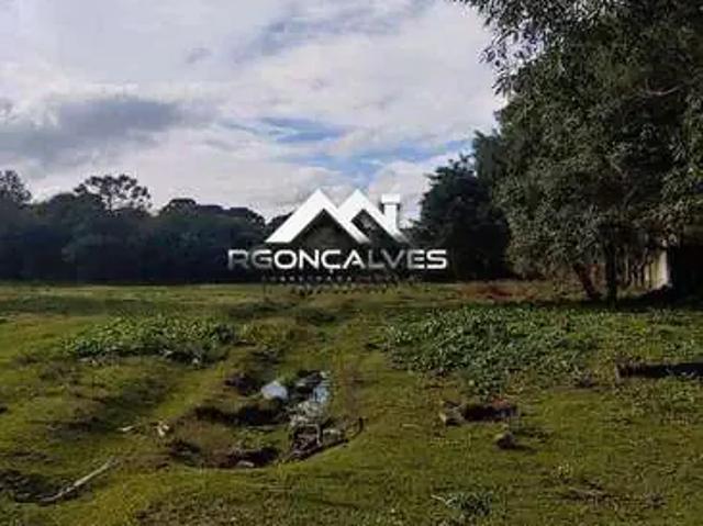 Terreno / Lote para Venda em Piraquara/PR Centro