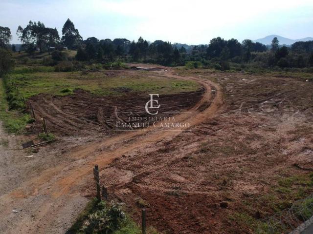 Terreno / Lote para Venda em Piraquara/PR Centro