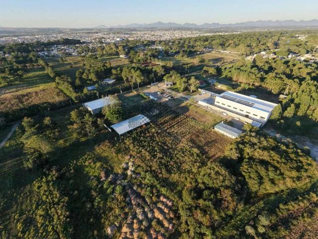 Terreno / Lote para Venda em Piraquara/PR Guarituba