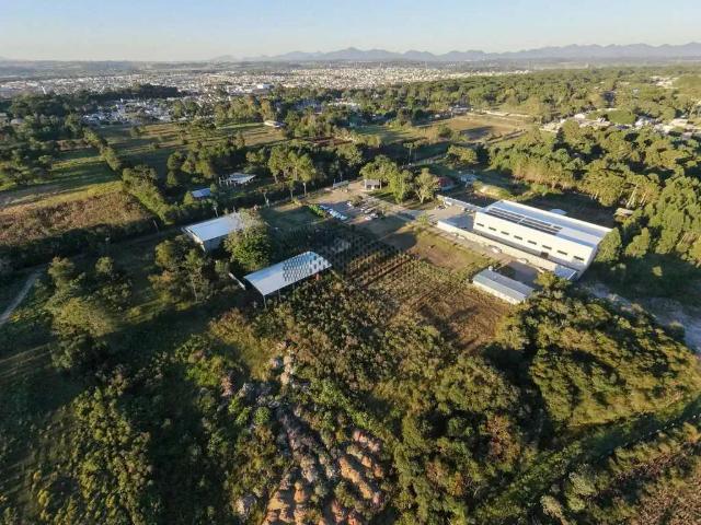 Terreno / Lote para Venda em Piraquara/PR Guarituba