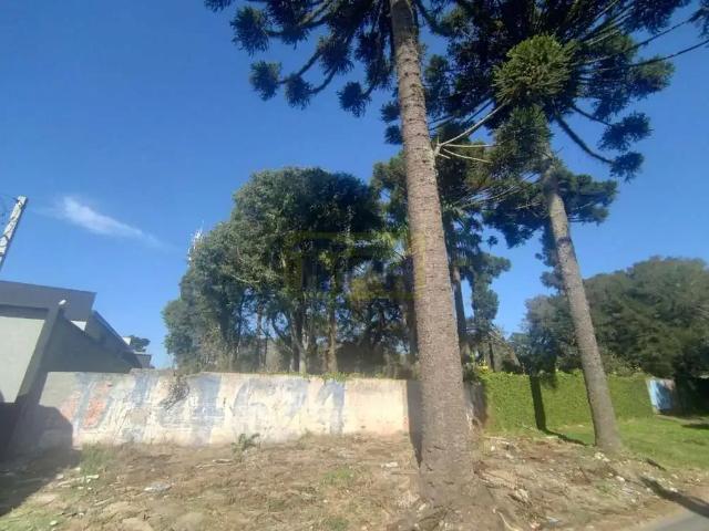 Terreno / Lote para Venda em Piraquara/PR Guarituba