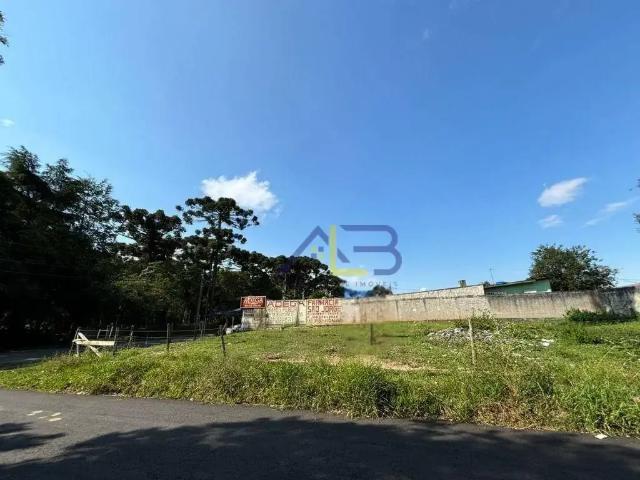 Terreno / Lote para Venda em Piraquara/PR Guarituba