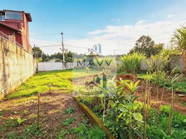 Terreno / Lote para Venda em Piraquara/PR Guarituba