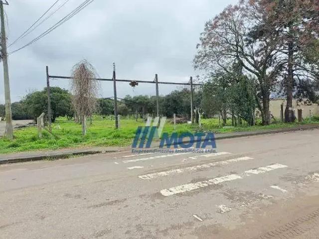 Terreno / Lote para Venda em Piraquara/PR Guarituba
