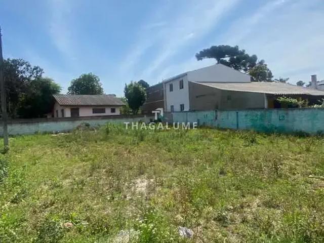 Terreno / Lote para Venda em Piraquara/PR Guarituba