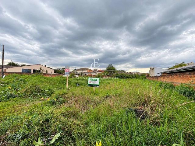 Terreno / Lote para Venda em Piraquara/PR Jardim Bela Vista
