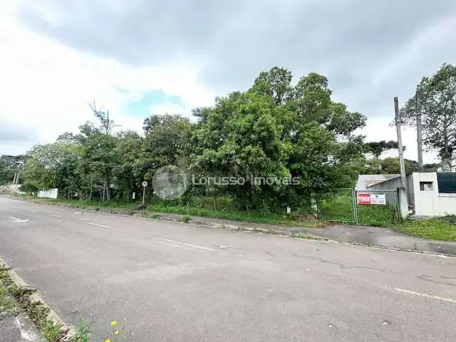 Terreno / Lote para Venda em Piraquara/PR Jardim dos Estados