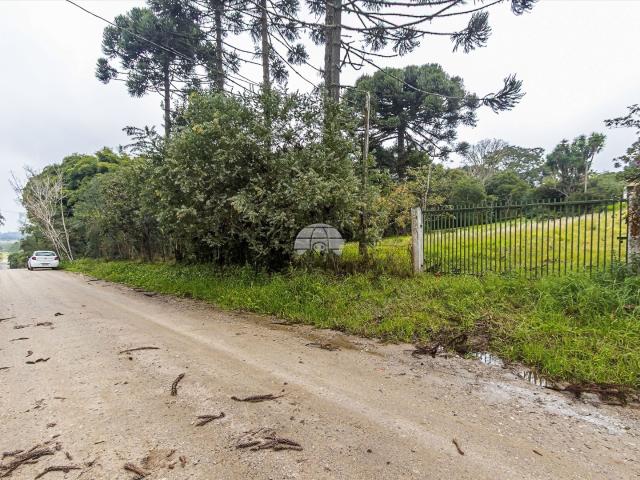 Terreno / Lote para Venda em Piraquara/PR Jardim Primavera