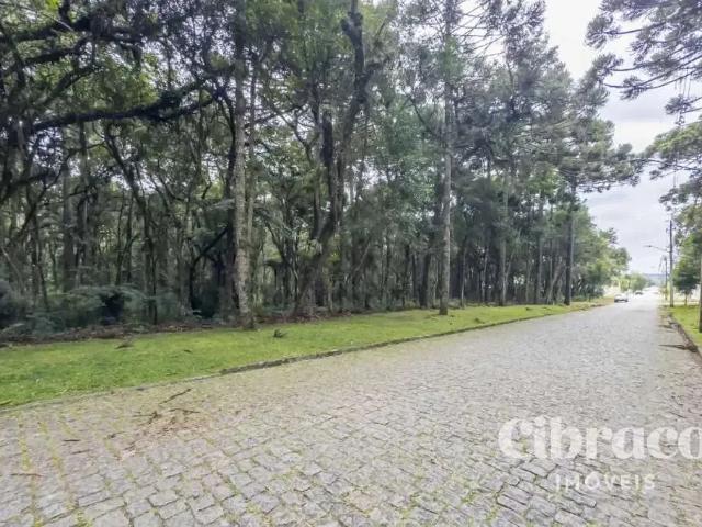 Terreno / Lote para Venda em Piraquara/PR Jardim Primavera