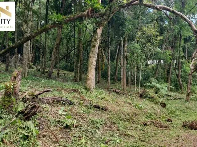 Terreno / Lote para Venda em Piraquara/PR Planta Granjas Eldorado
