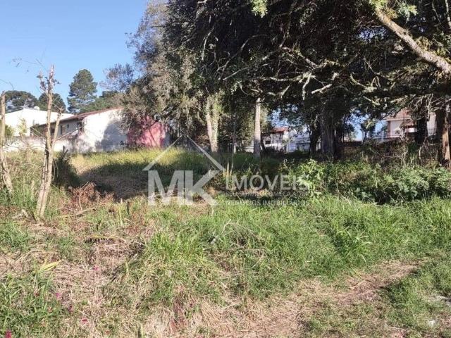 Terreno / Lote para Venda em Piraquara/PR Planta Santa Clara