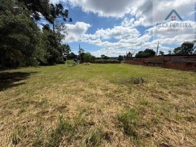 Terreno / Lote para Venda em Piraquara/PR Planta Terezinha