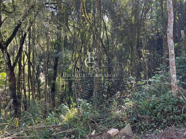 Terreno / Lote para Venda em Piraquara/PR Santa Helena 3
